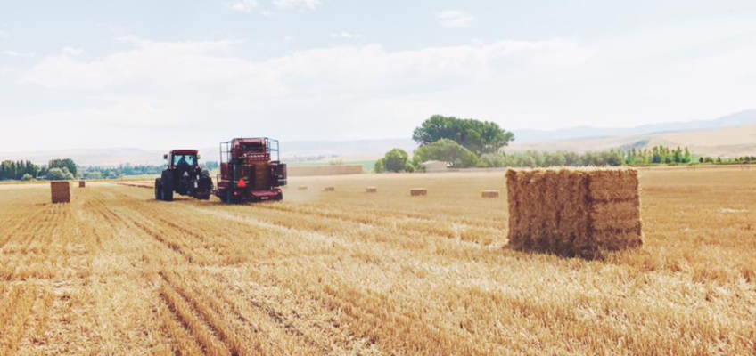 Off-Farm Income
