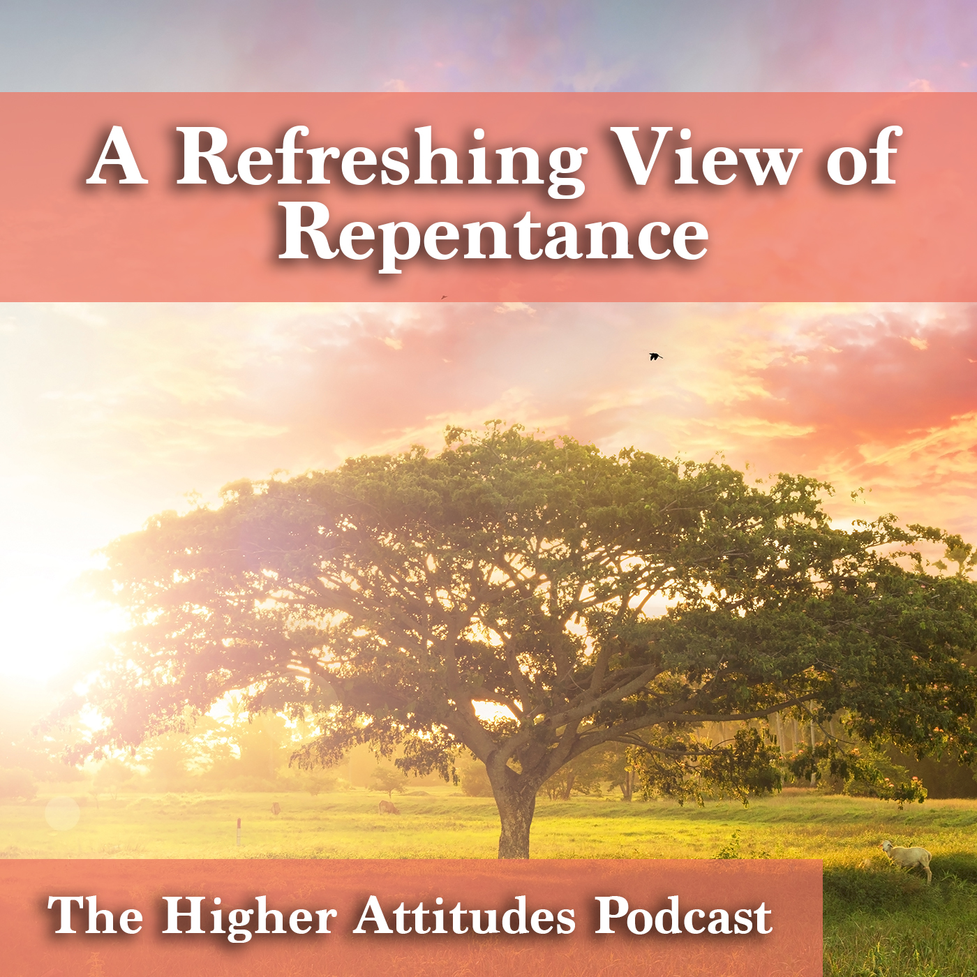 The Higher Attitudes Podcast