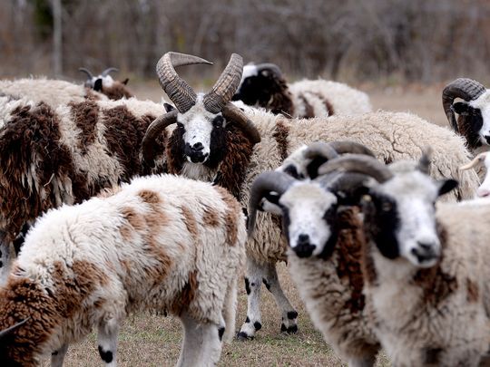 BeachCast.TV: Bible Exploration, Apologetics and Church History with Dr. Chase A. Thompson: