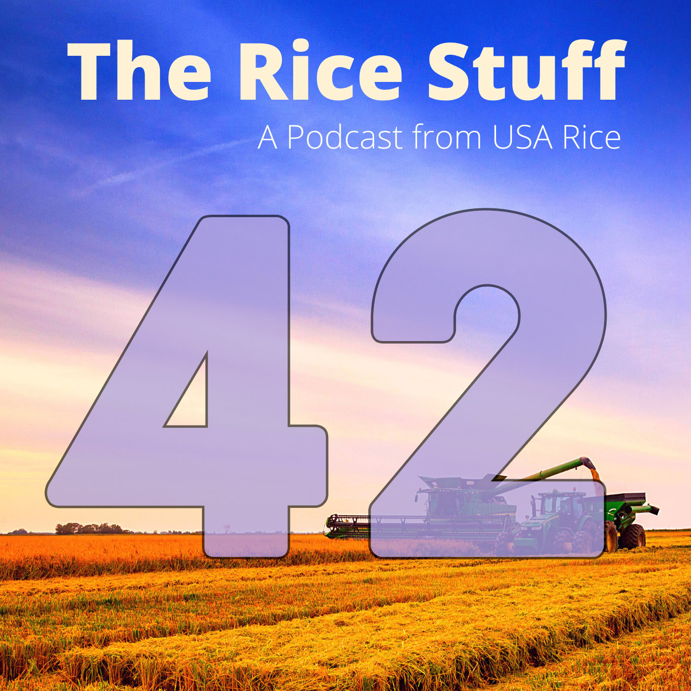 The Rice Stuff