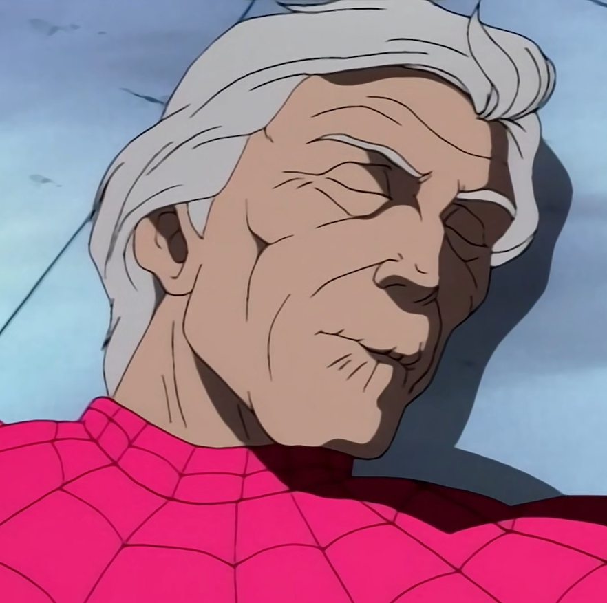 That 90s Spider-Man Show