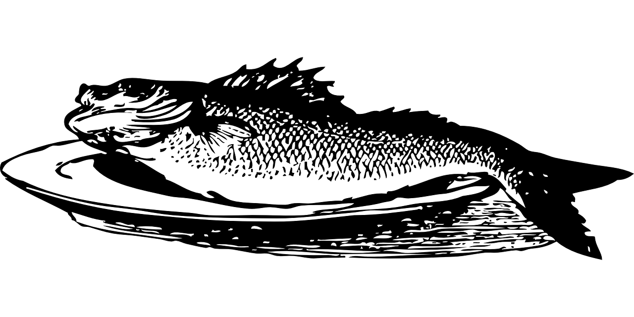 The Fish and The Ring - An English Folktale