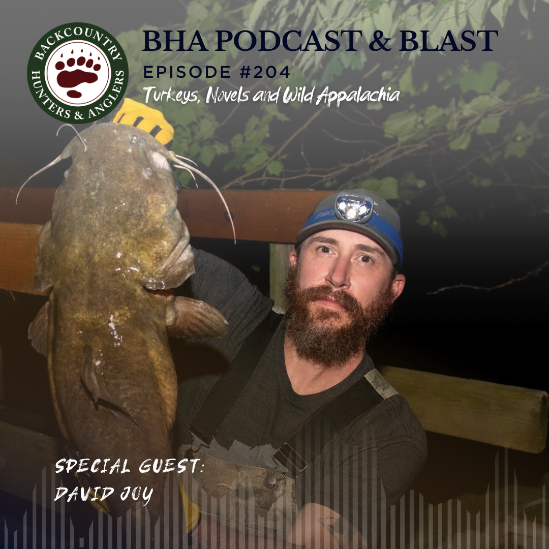 cover of episode Turkeys, Novels and Wild Appalachia with David Joy