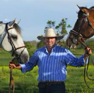 0191: David Finch LC - International Show Jumper, Now Breeding International Show Jumpers