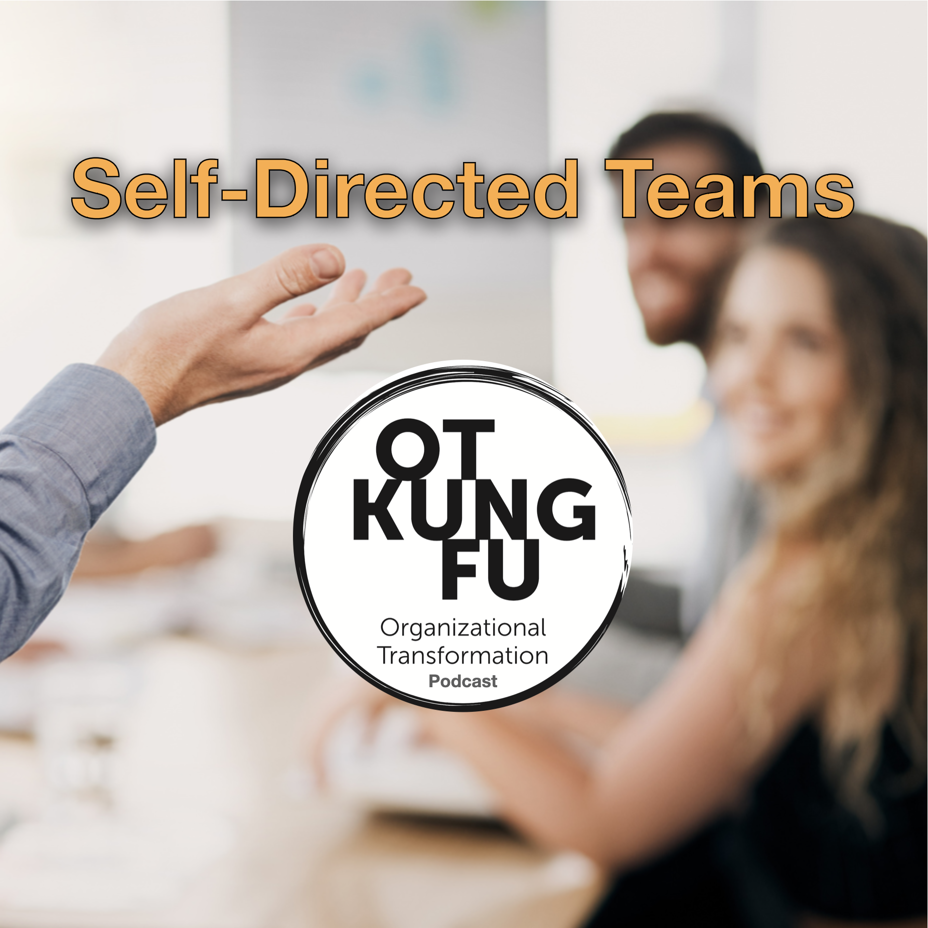 Episode025  Self-Directed Teams