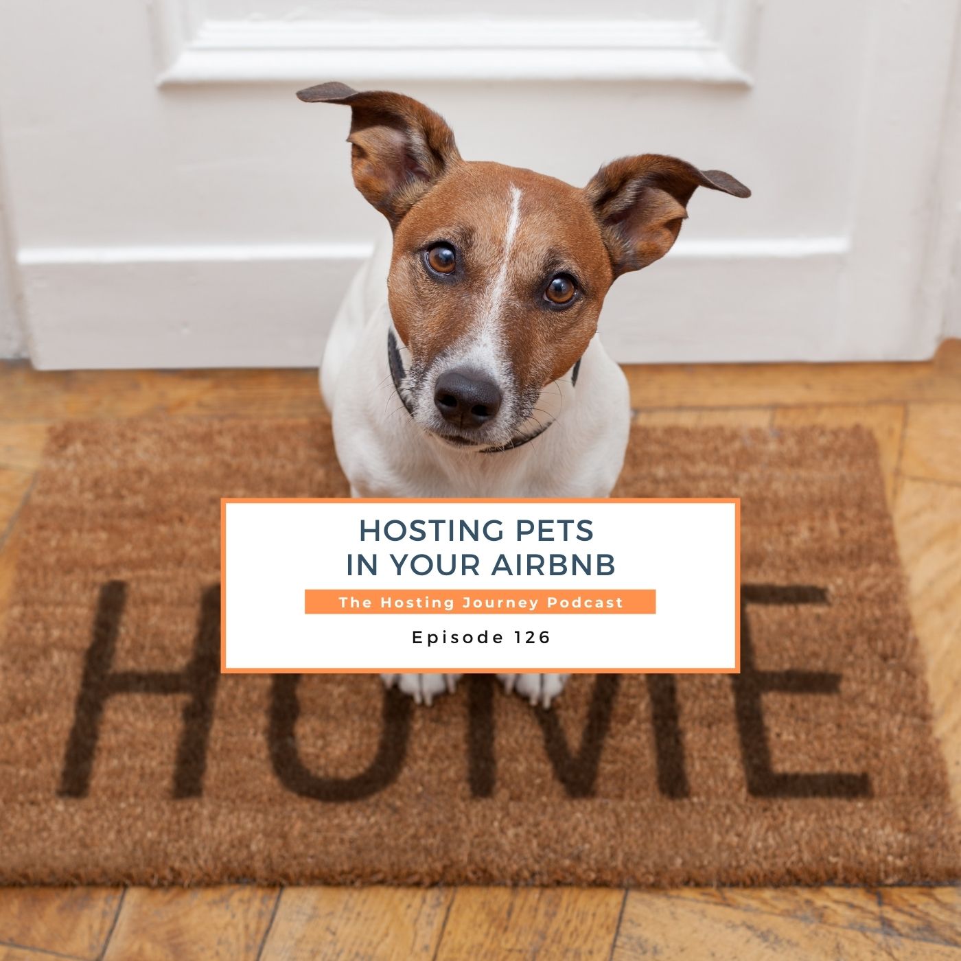 Hosting Pets at your Short Term Rental or Airbnb