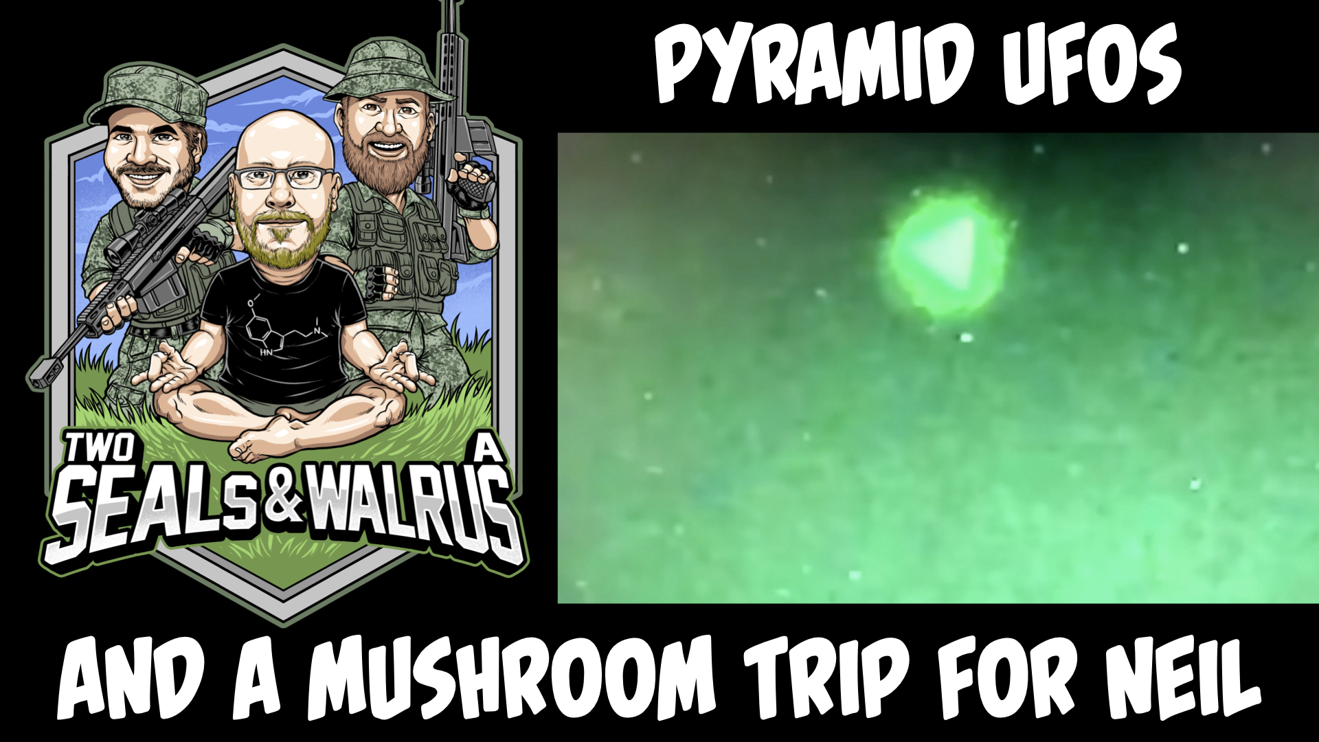 TwoSEALsandaWalrus\'s podcast