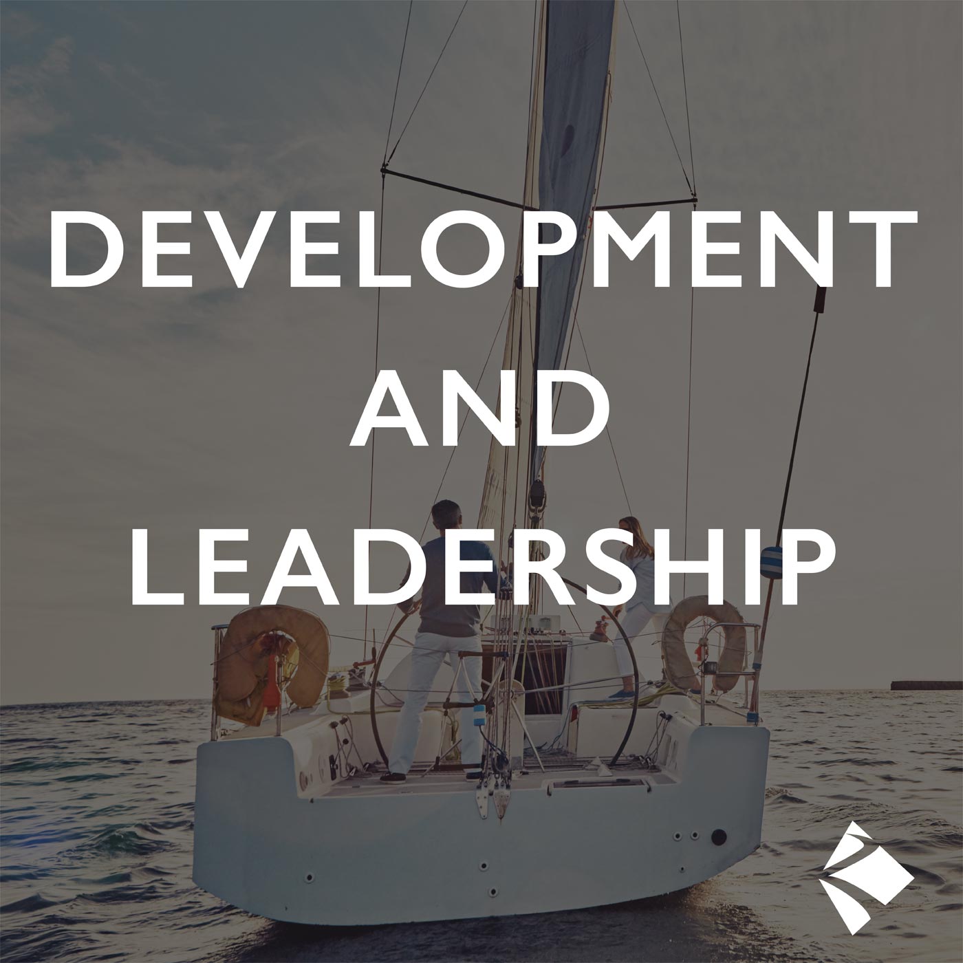 Introduction to Development and Leadership Coaching