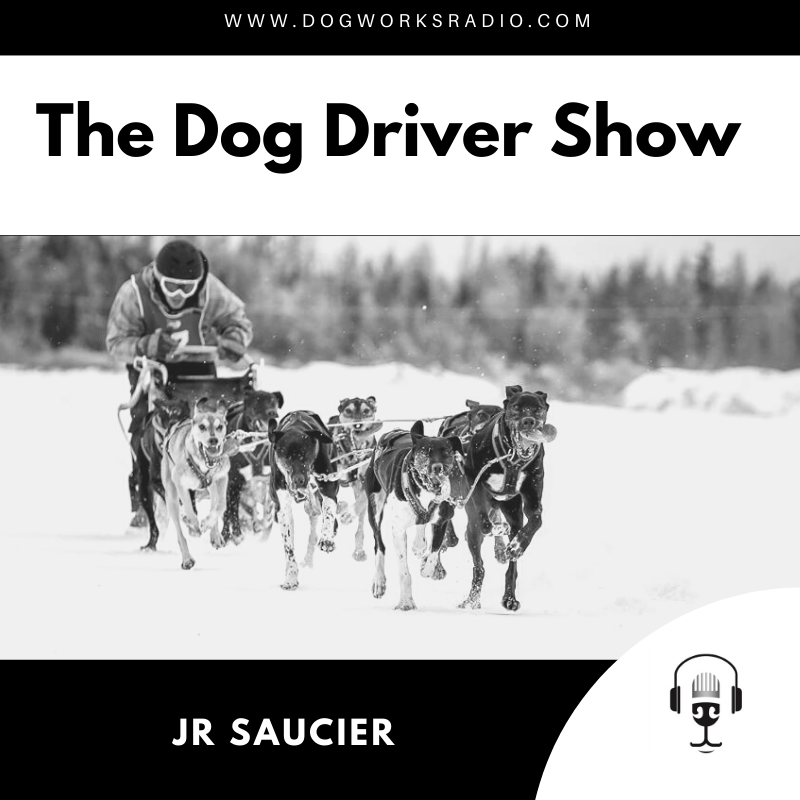 The Dog Driver Show JR Saucier