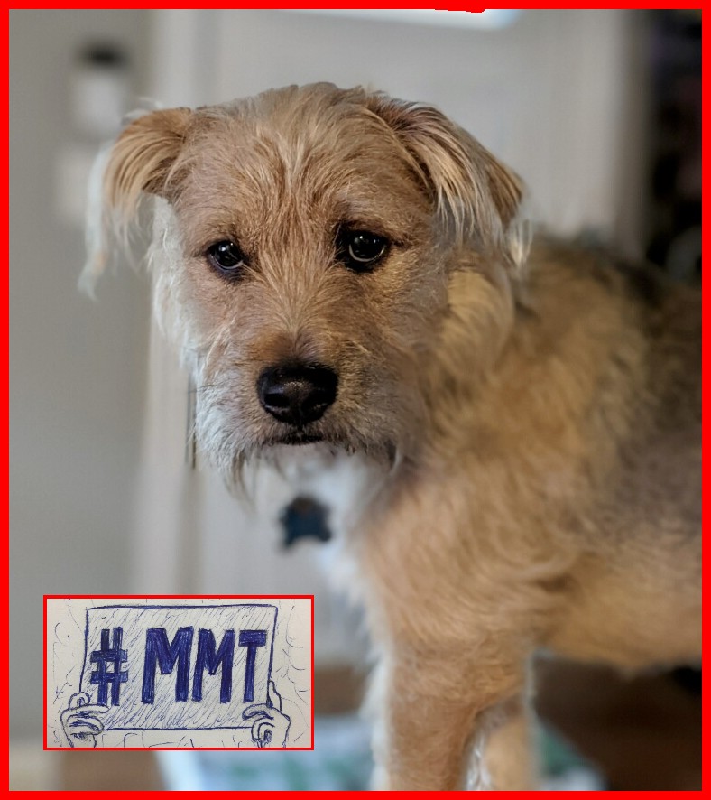 Activist #MMT - podcast