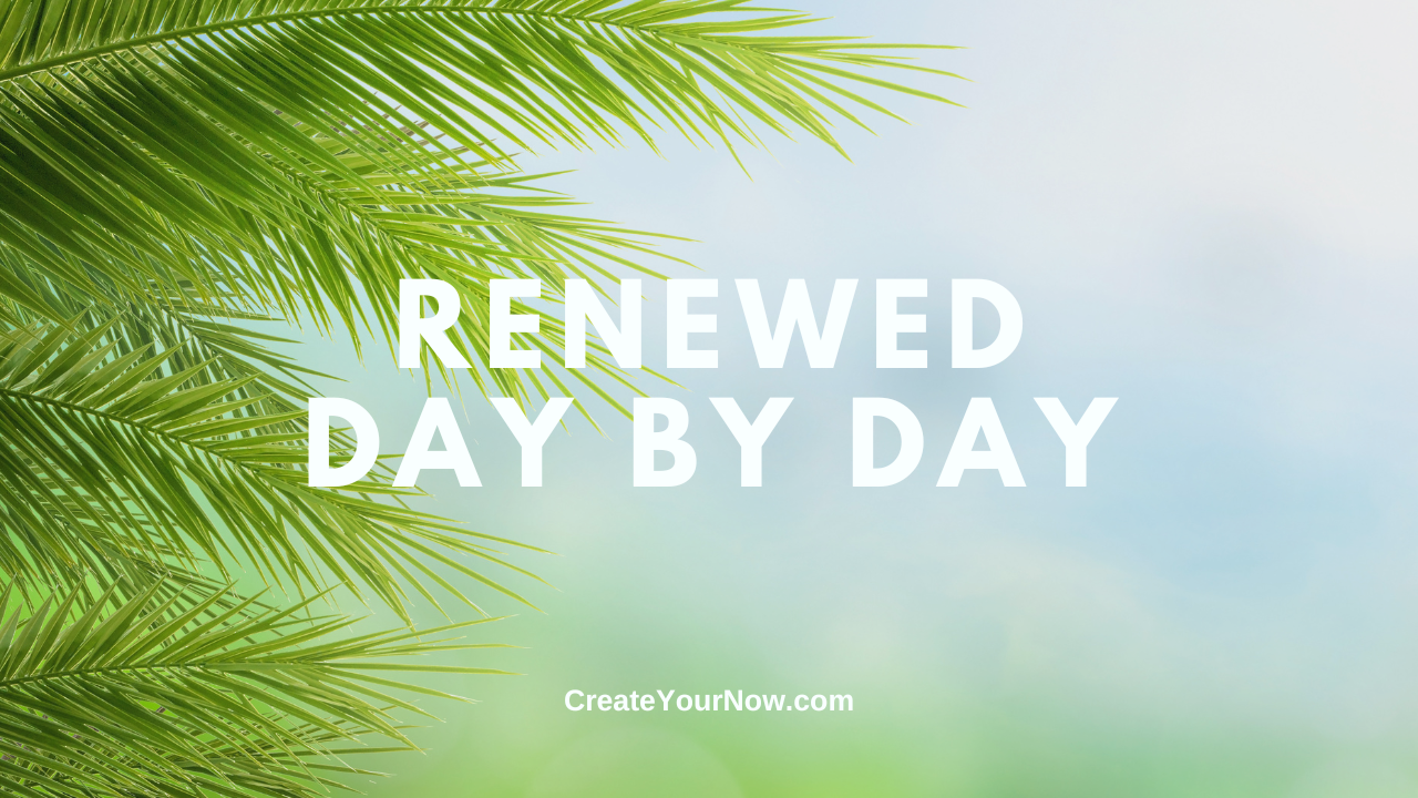 3666 Renewed Day By Day