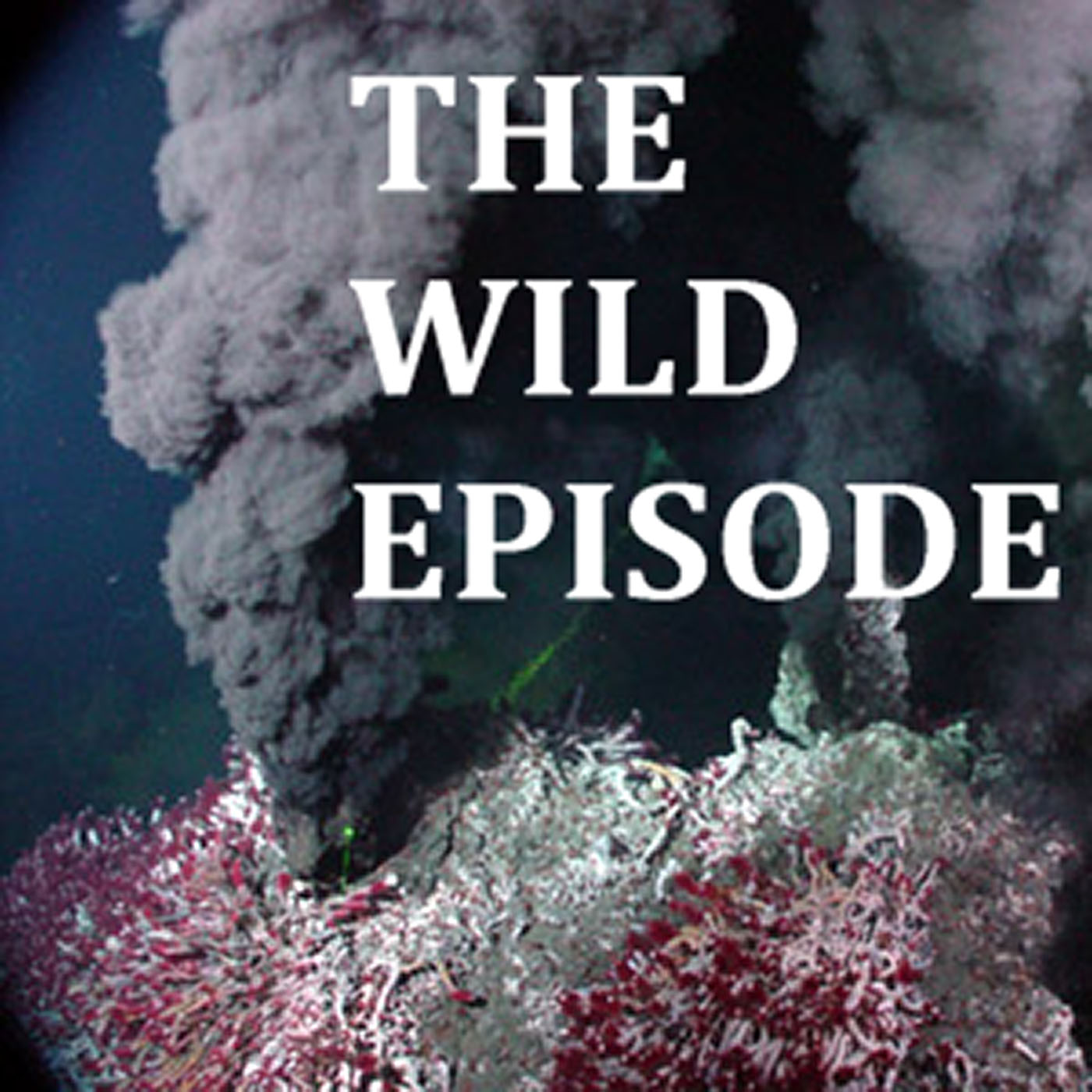The Wild Episode