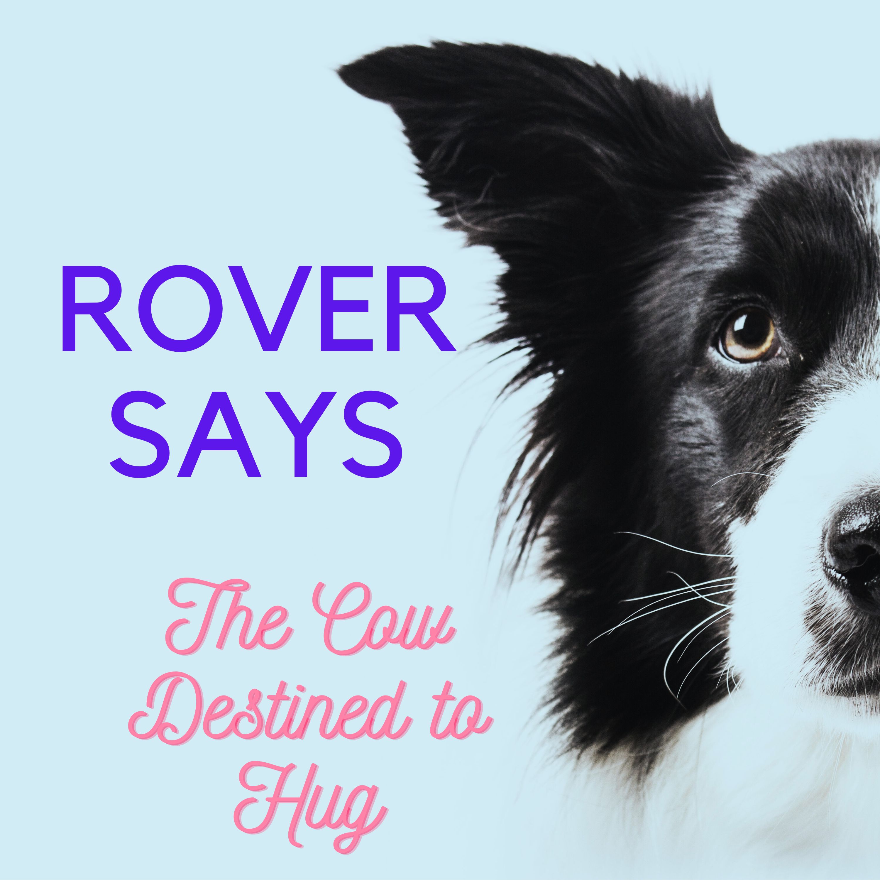 Rover Says