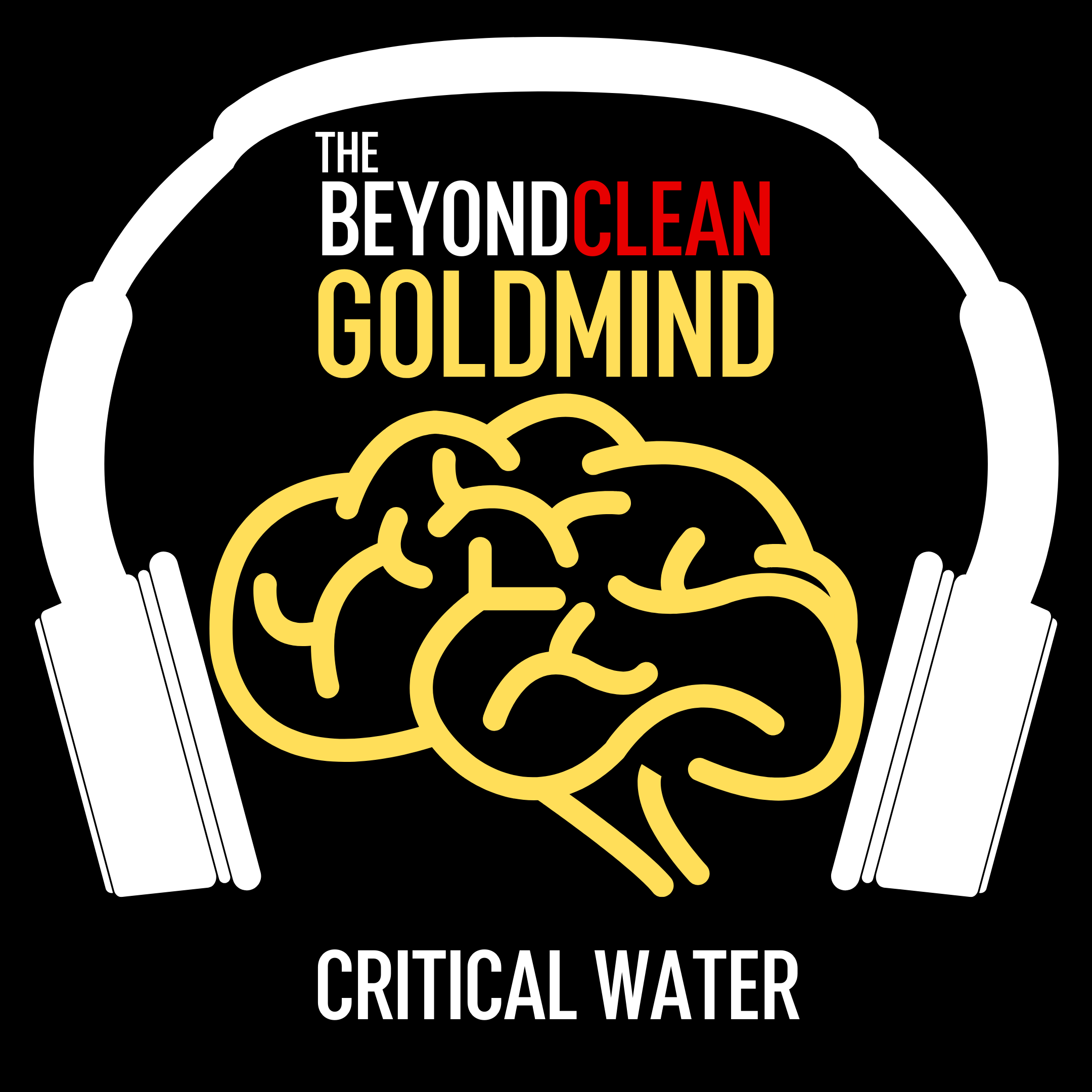 Critical Water