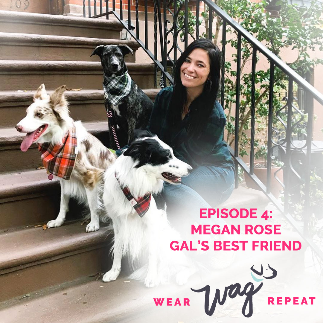 Wear Wag Repeat: From Passion to Profit in the Pet Industry