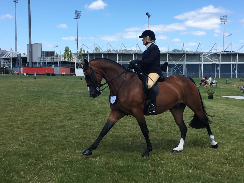 0187: Fiona Fehlberg - Everyday You Learn Something New Because Horses Are Your Teachers