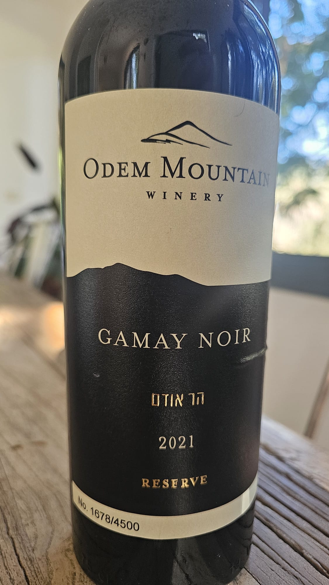 יין לשניים פרק 37