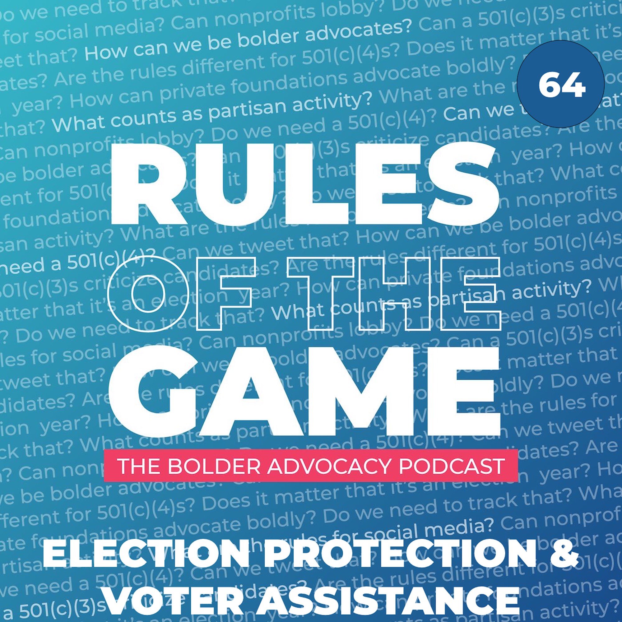 Election Protection & Voter Assistance
