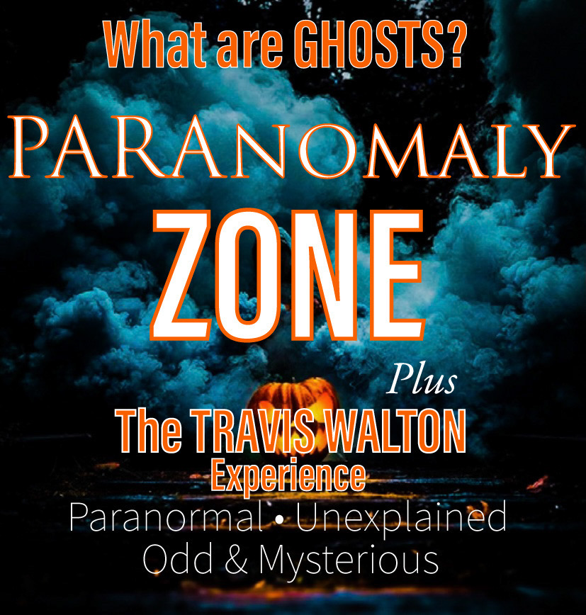 WHAT ARE GHOSTS?  PLUS, the TRAVIS WALTON EXPERIENCE! - APPARITIONS; SHADOW PEOPLE; POLTERGEISTS; ORBS; COLD SPOTS; ECTO-MIST; INTERDIMENSIONAL BEINGS; DEMONIC ENTITIES; UFO/ALIEN ABDUCTION; TRUE OR HOAX?; OUR HOT TAKE & MORE!
