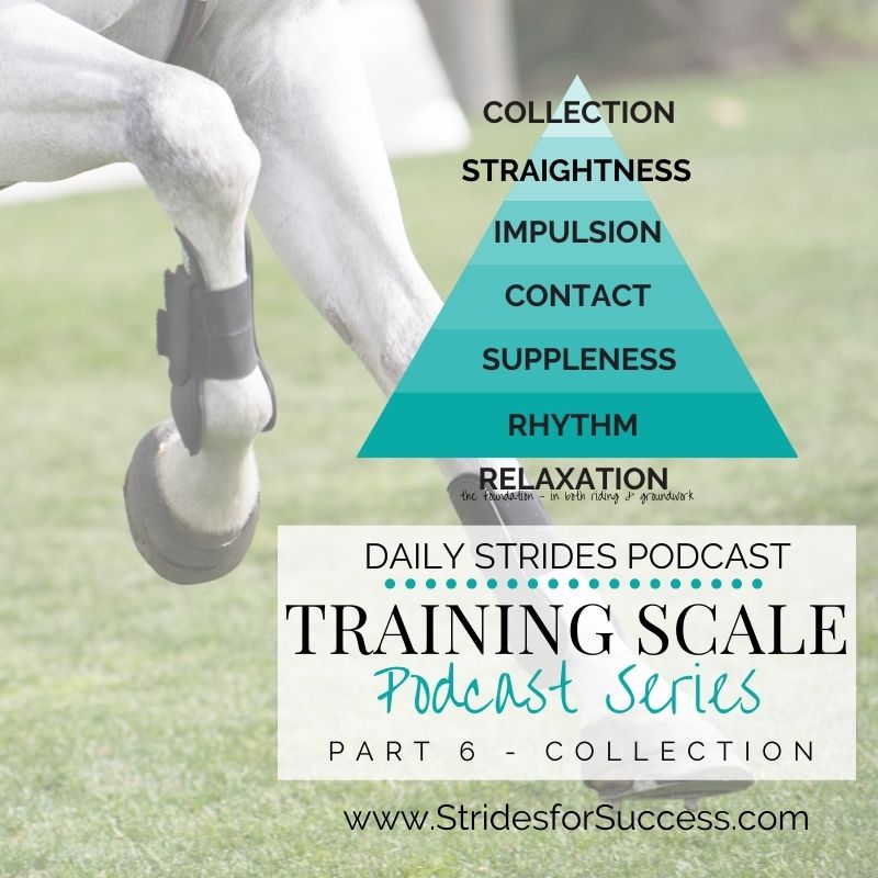 Collection; Is it For All Riders? And Can You Begin Working on It Today? - The Training Scale