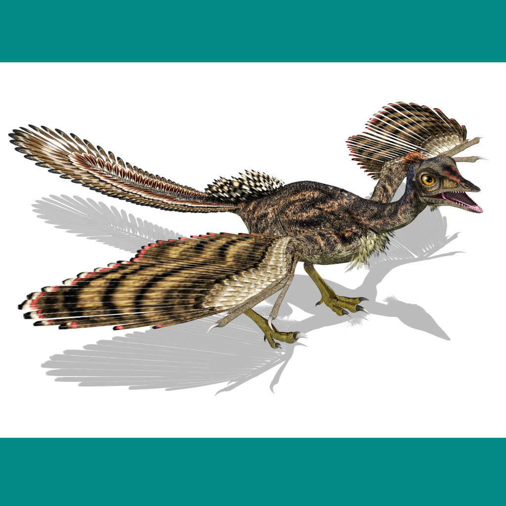Life with the Archaeopteryx