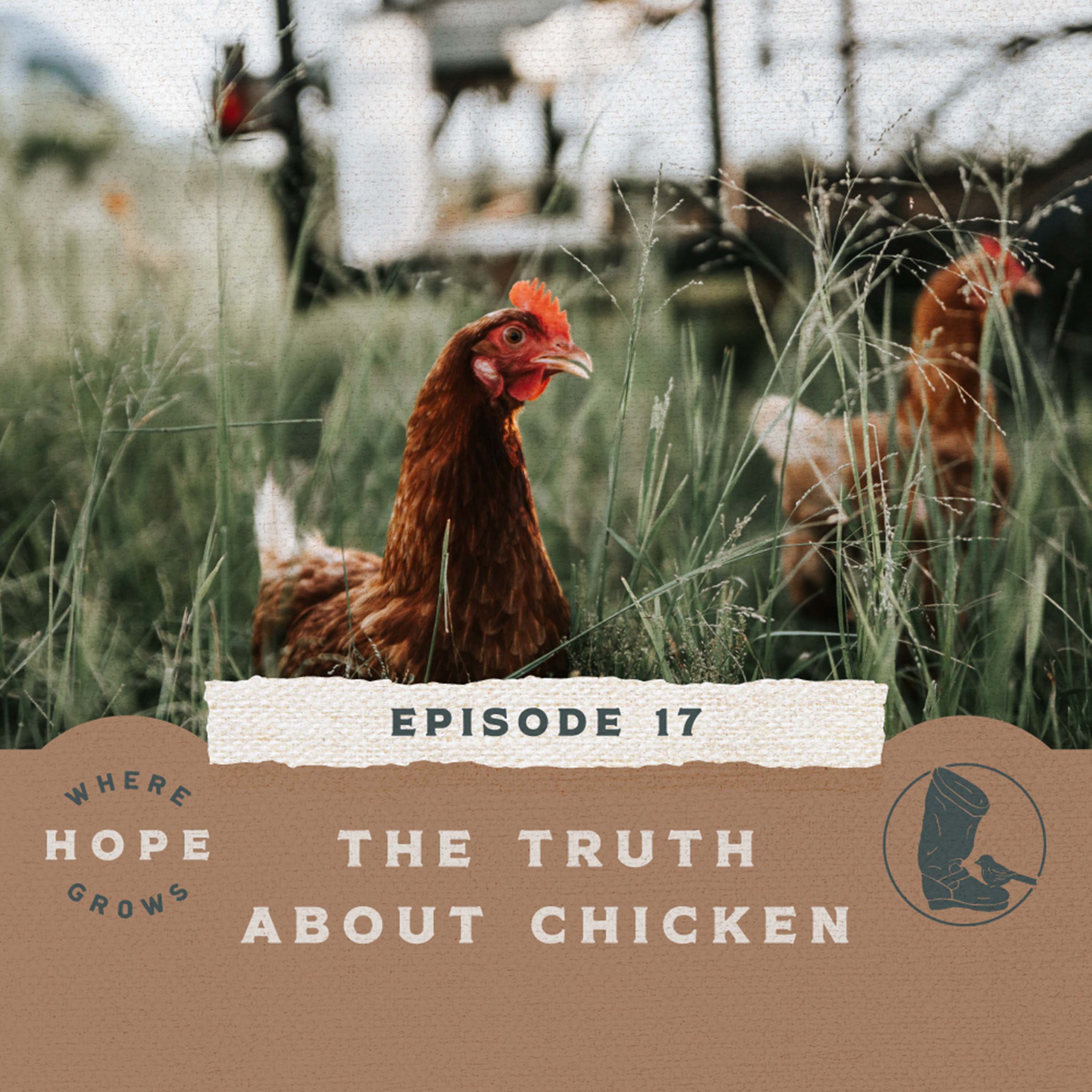 The Truth About Chicken