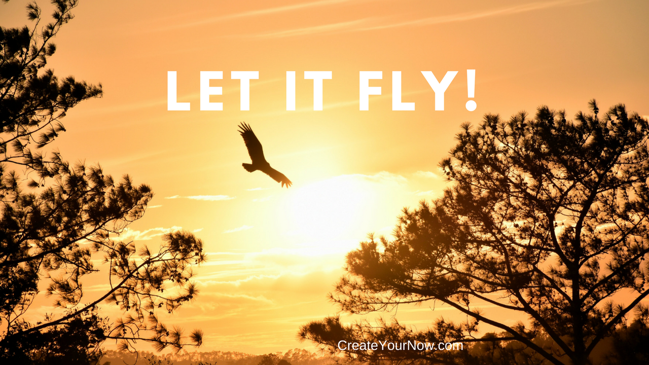 1165 Let it FLY!