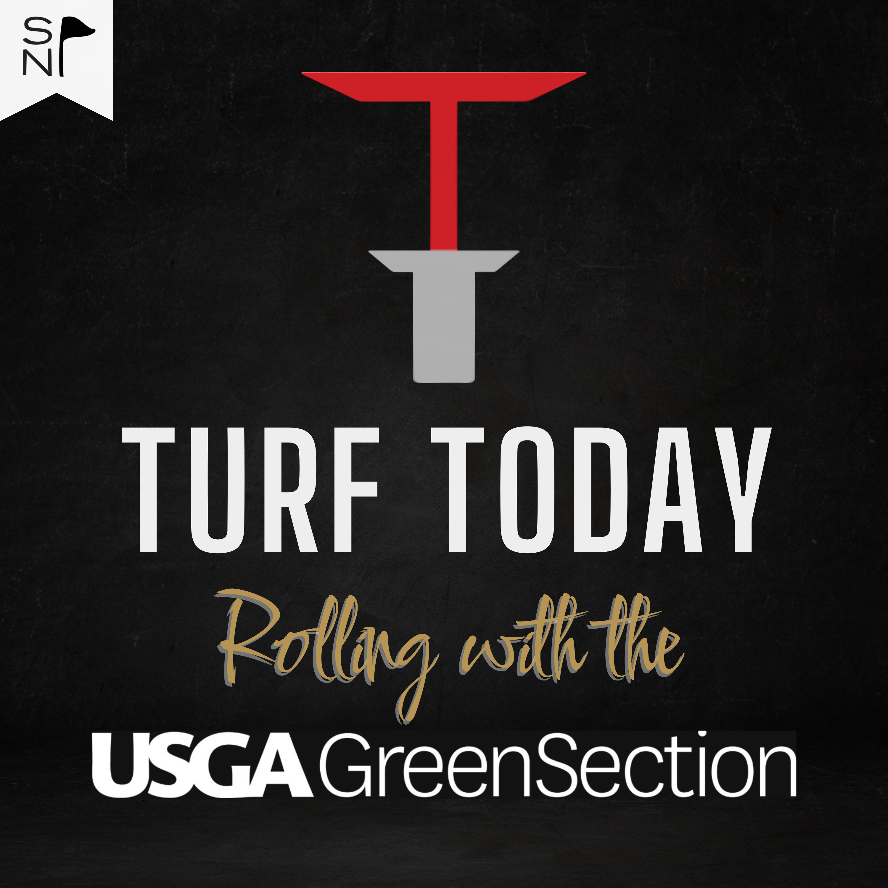 Turf Today