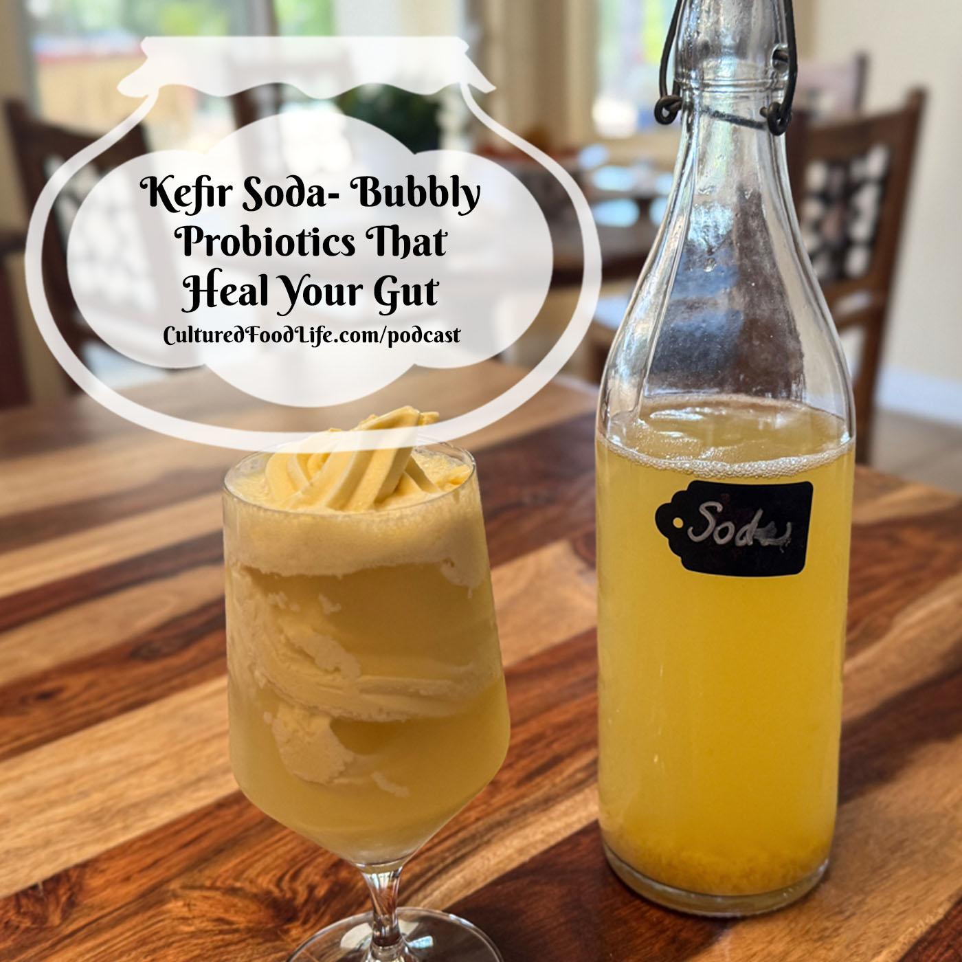 Episode 316: Kefir Soda- Bubbly Probiotics That Heal Your Gut