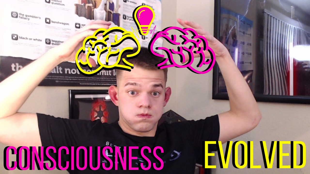 Will Consciousness Evolve In 2019? | Emmie “Evolving” | Spiritual Awakening
