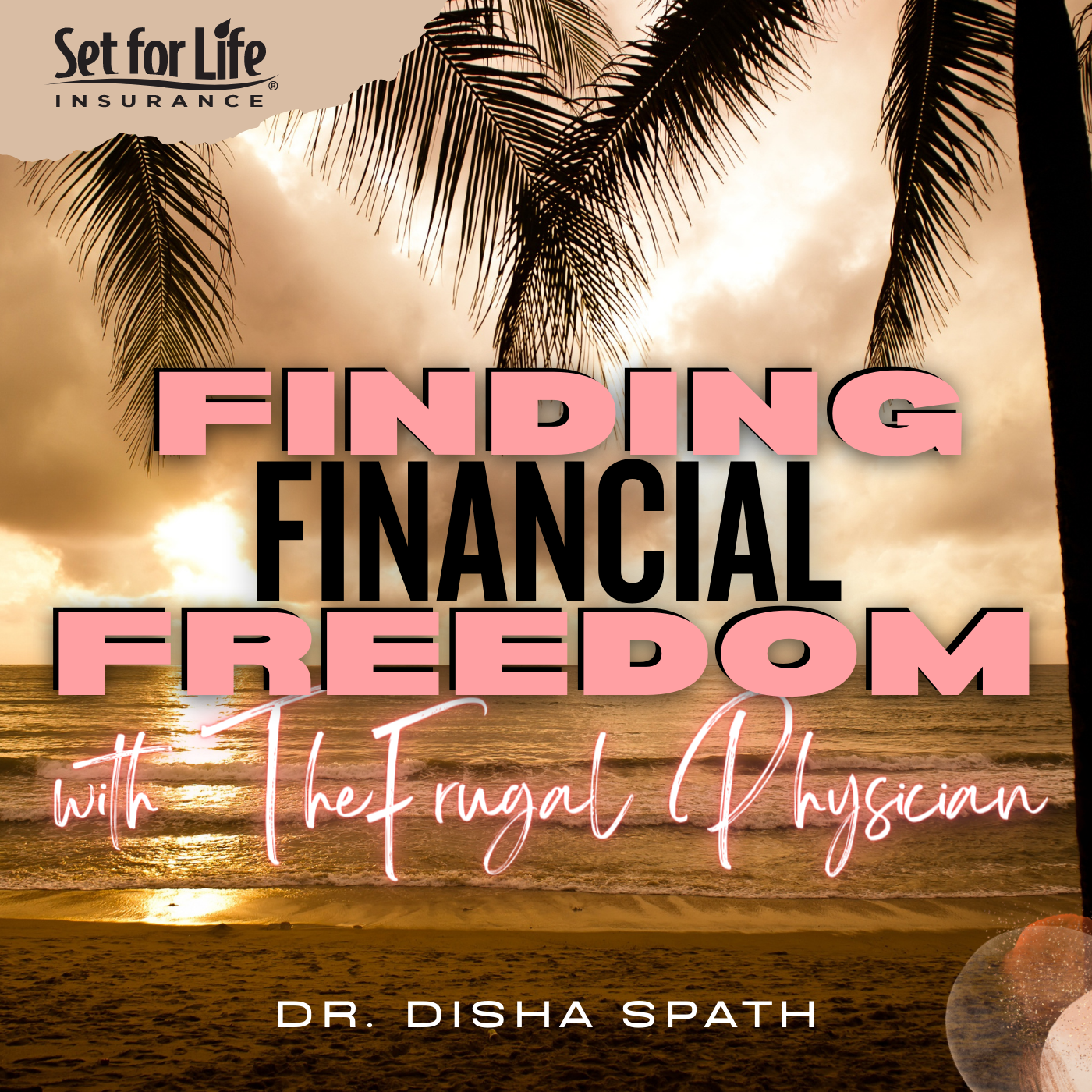 Finding Financial Freedom with The Frugal Physician - Finance, Wellness, Budget, Student Loans, Wealth, Doctor, Fitness, Money