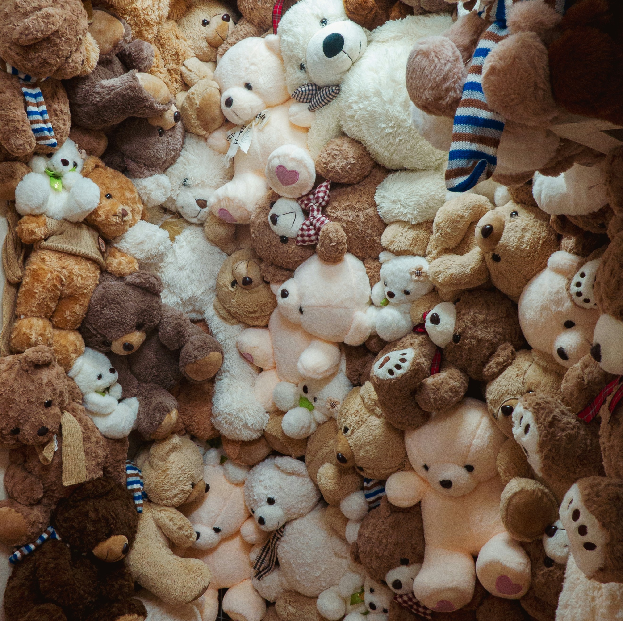 The Bittersweet Past: All Things Cute and Cuddly