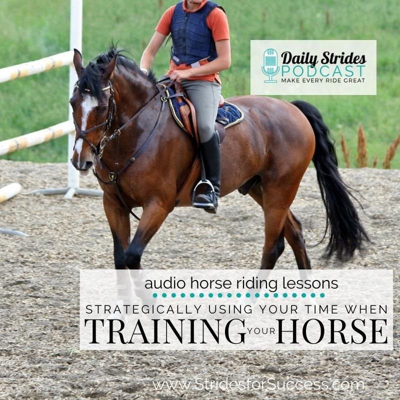 Strategically Using Your Time when Training or Retraining Your Horse