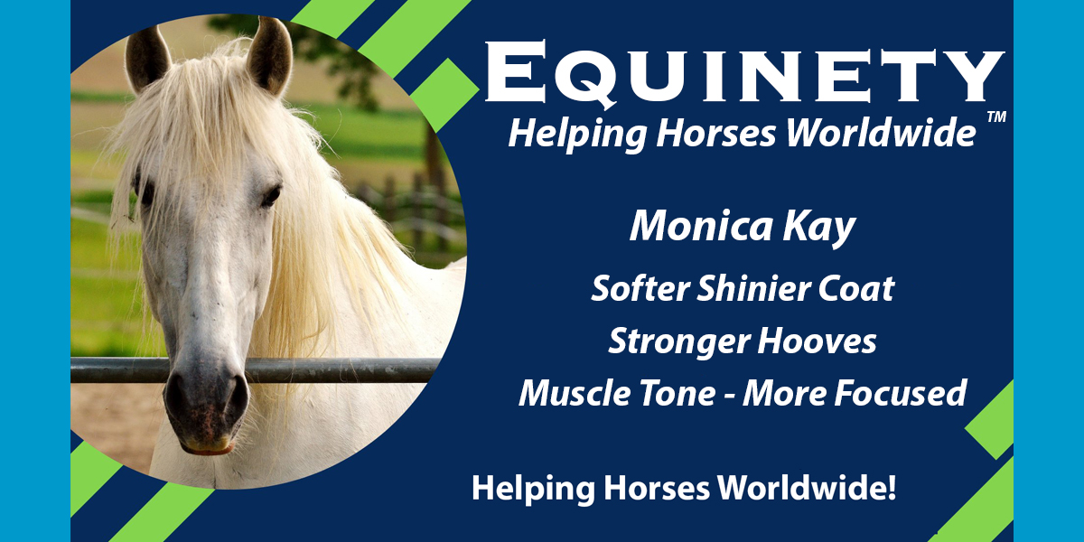 Team Equinety Podcast