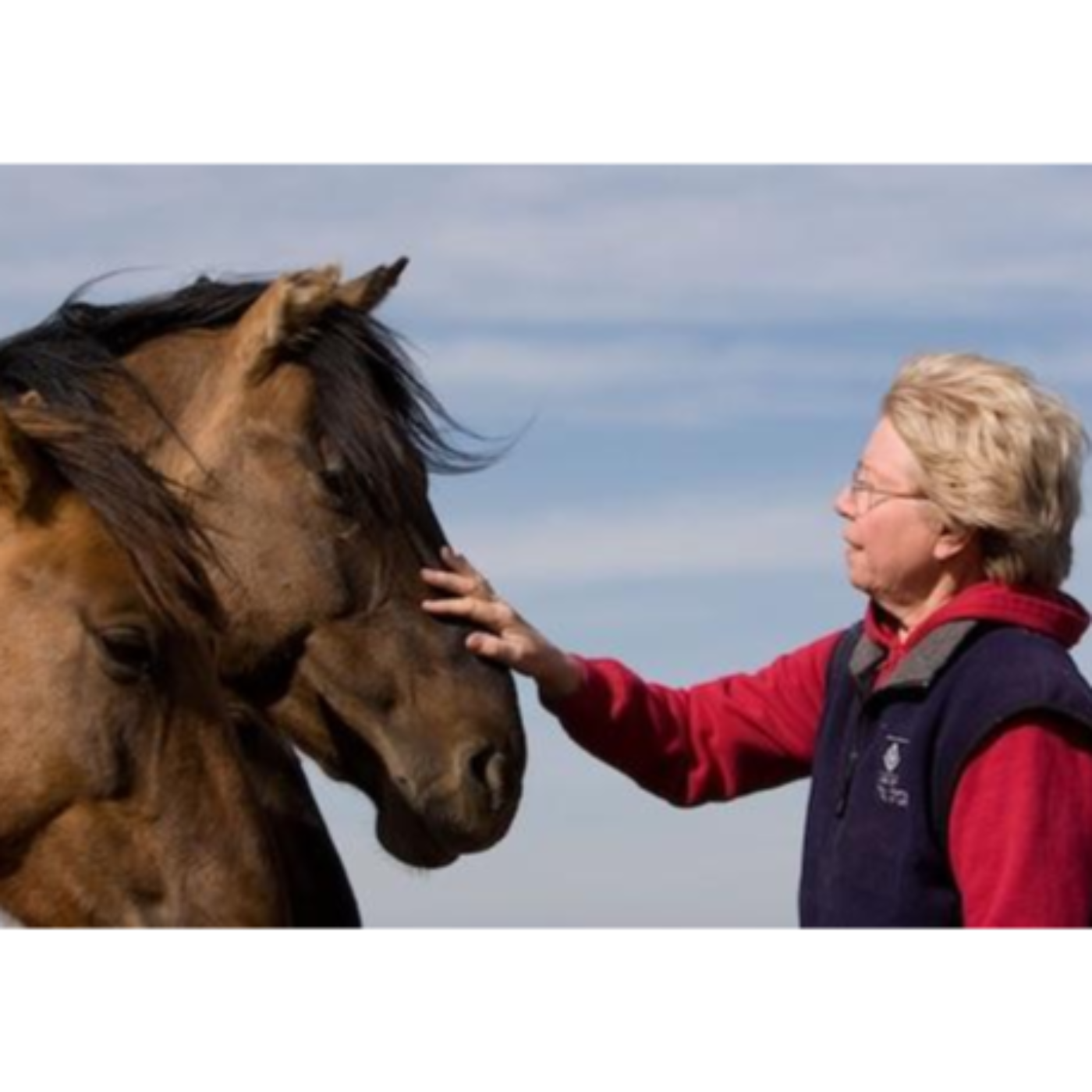Karen Sussman: Pioneer for Wild Horse Advocacy