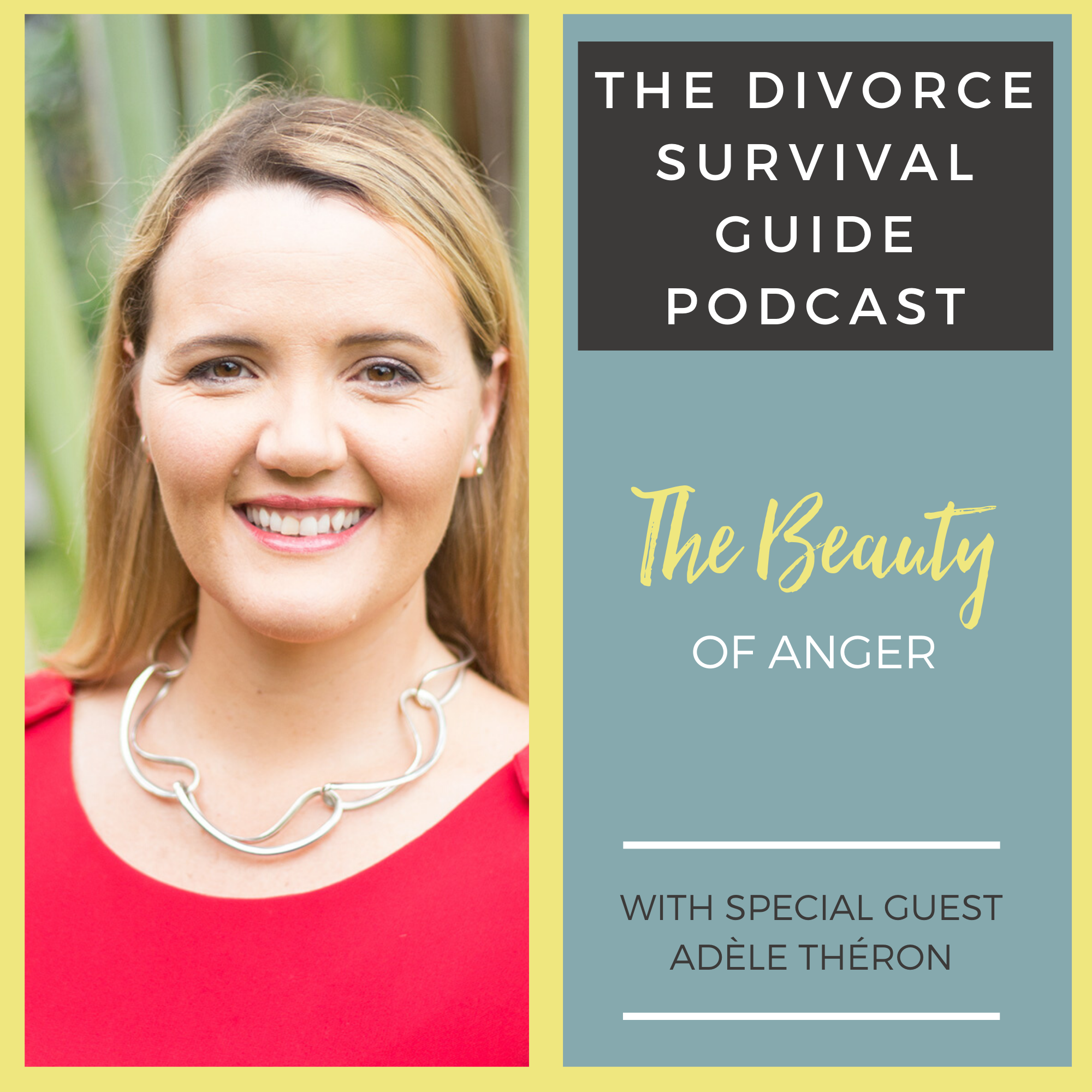 The Divorce Survival Guide Podcast