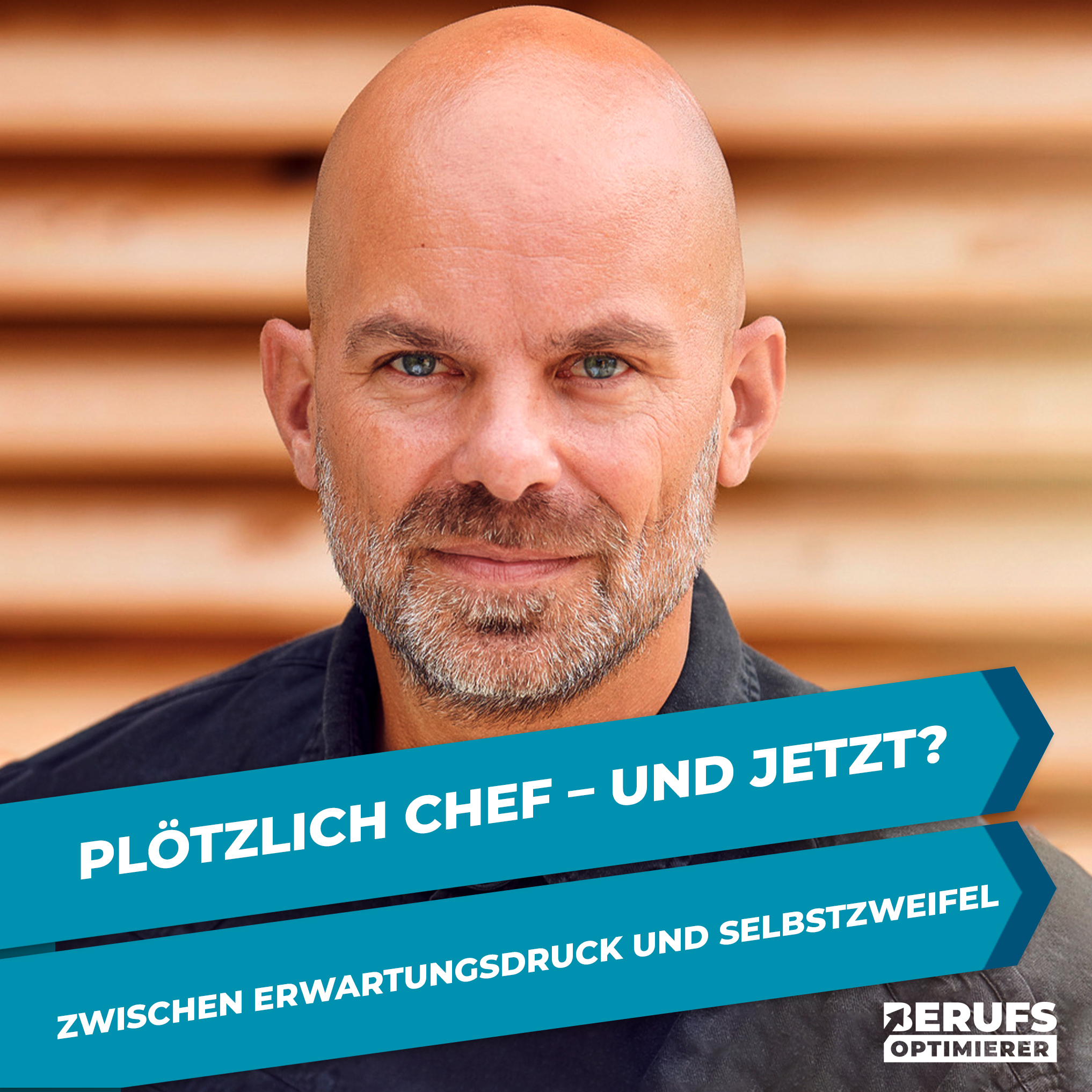 Berufsoptimierer - Erfolg in Bewerbung und Karriere