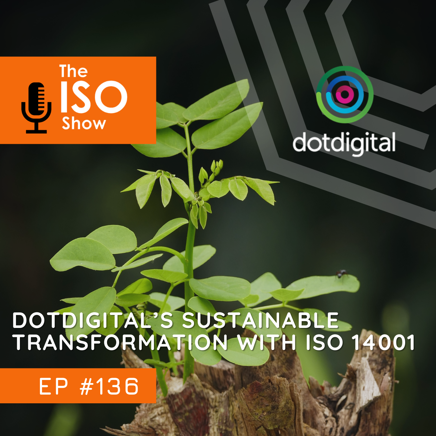 The ISO Show