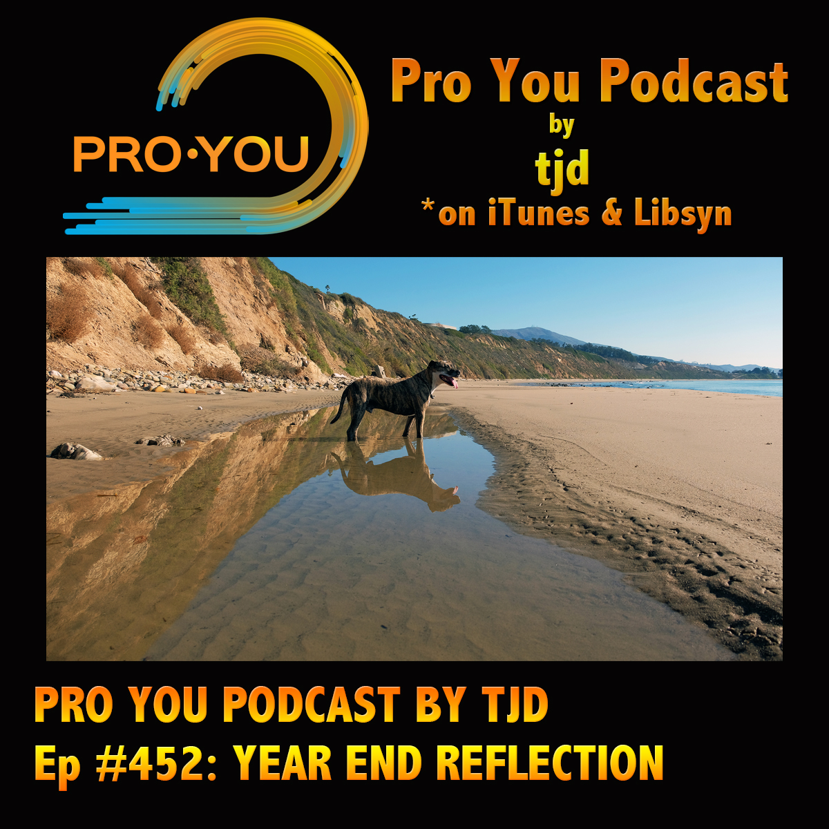 #452 Year End Reflection