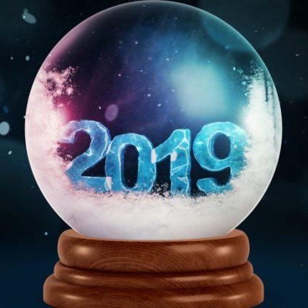 D6G Pip 33: 2019 Prediction Results