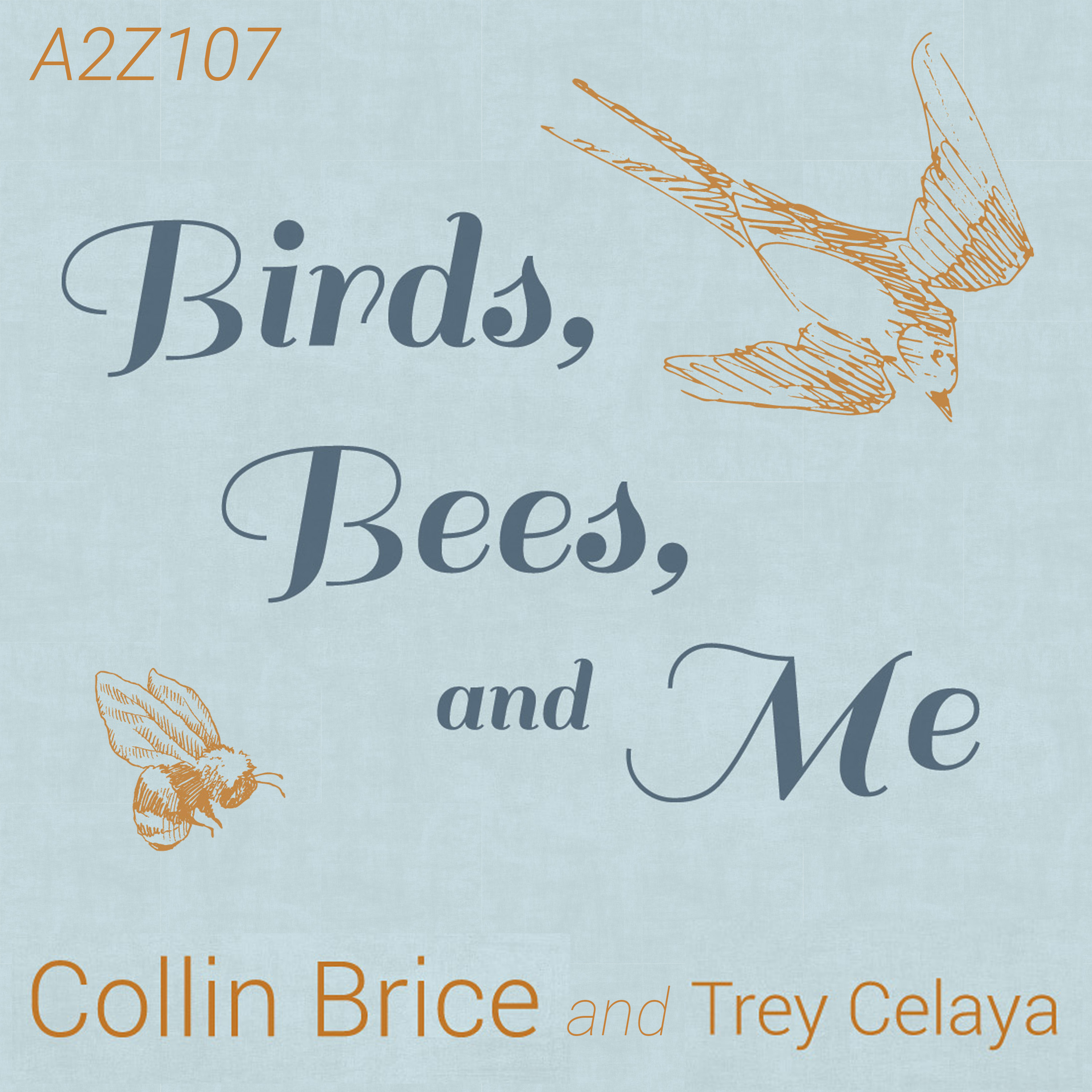 A2Z Podcast