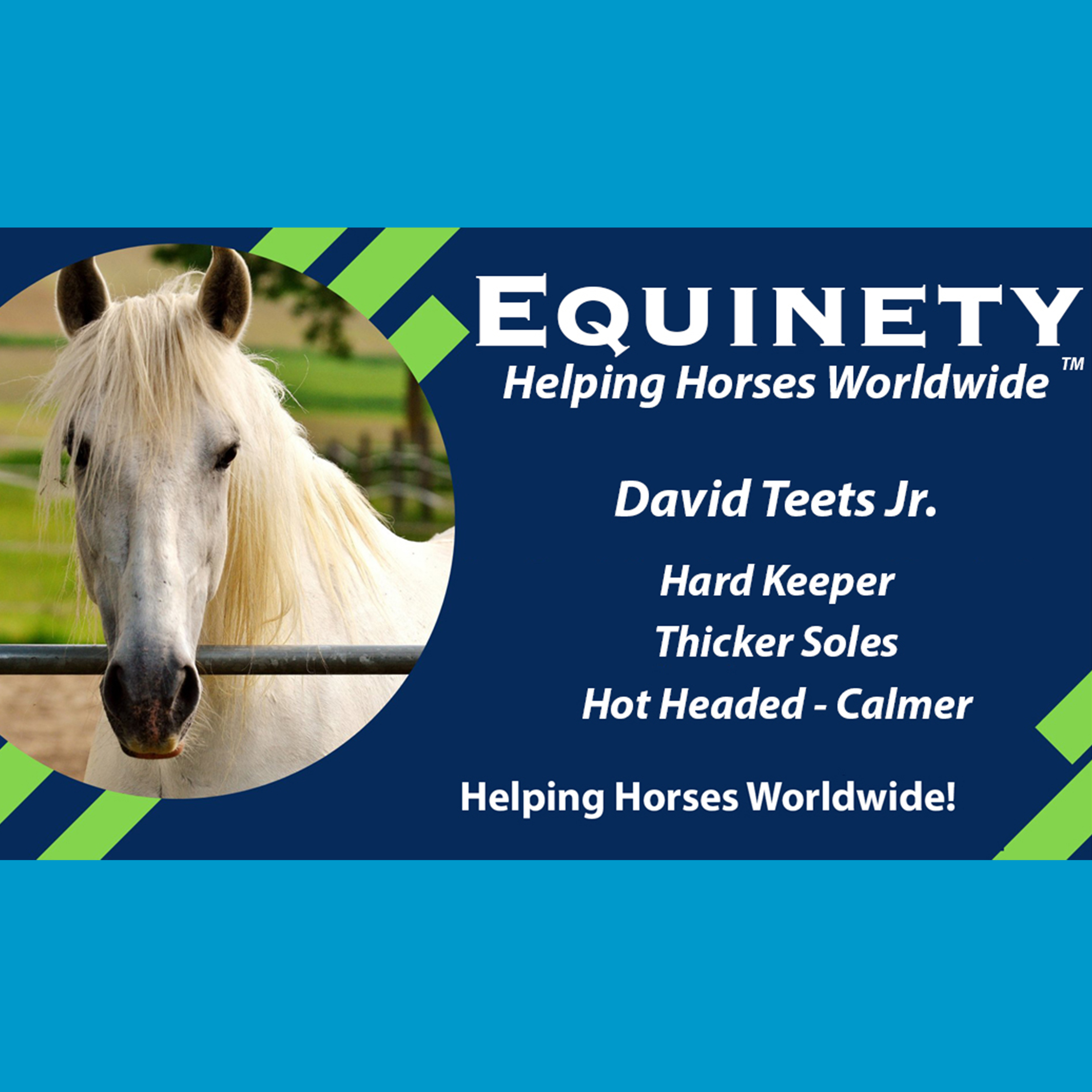 Team Equinety Podcast