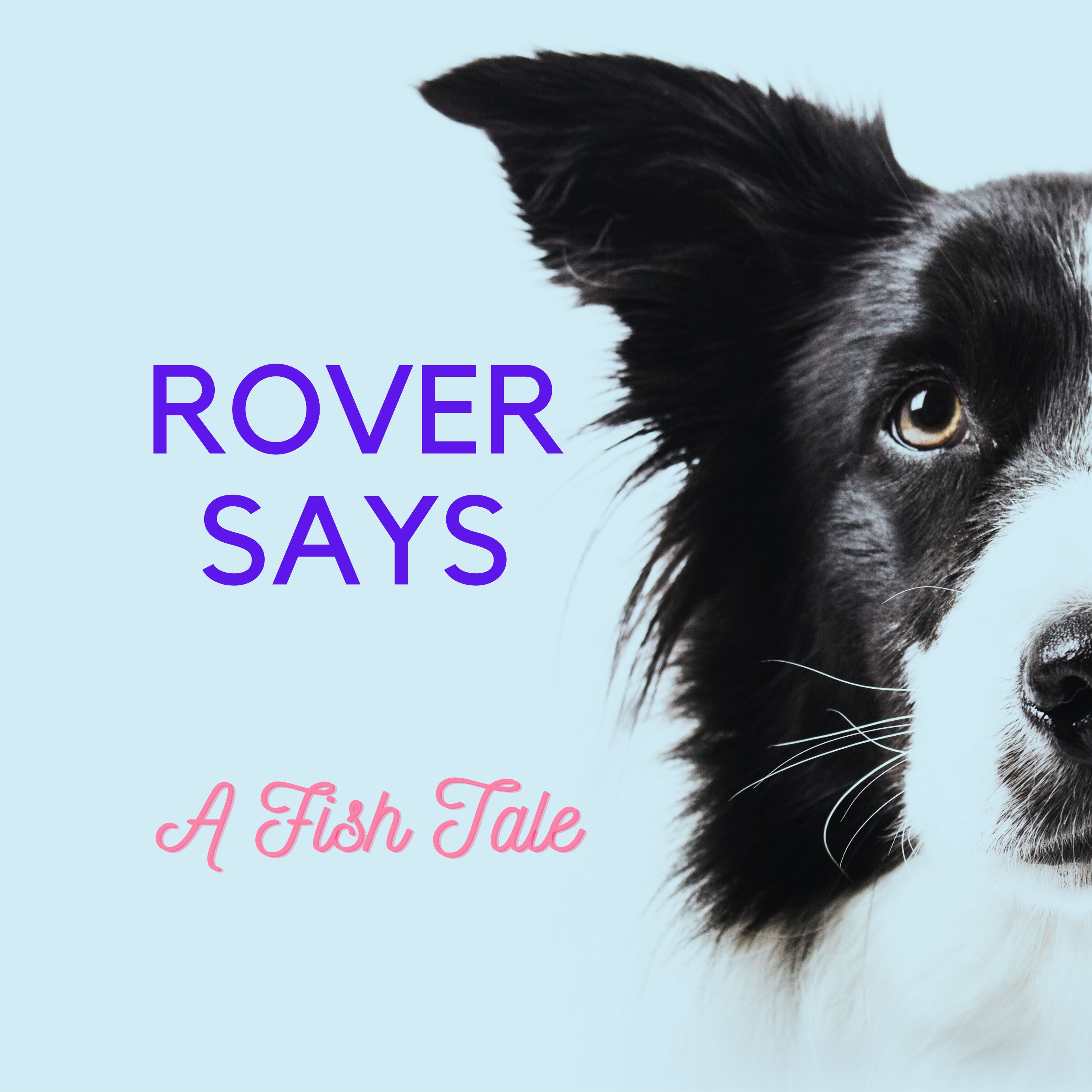 Rover Says
