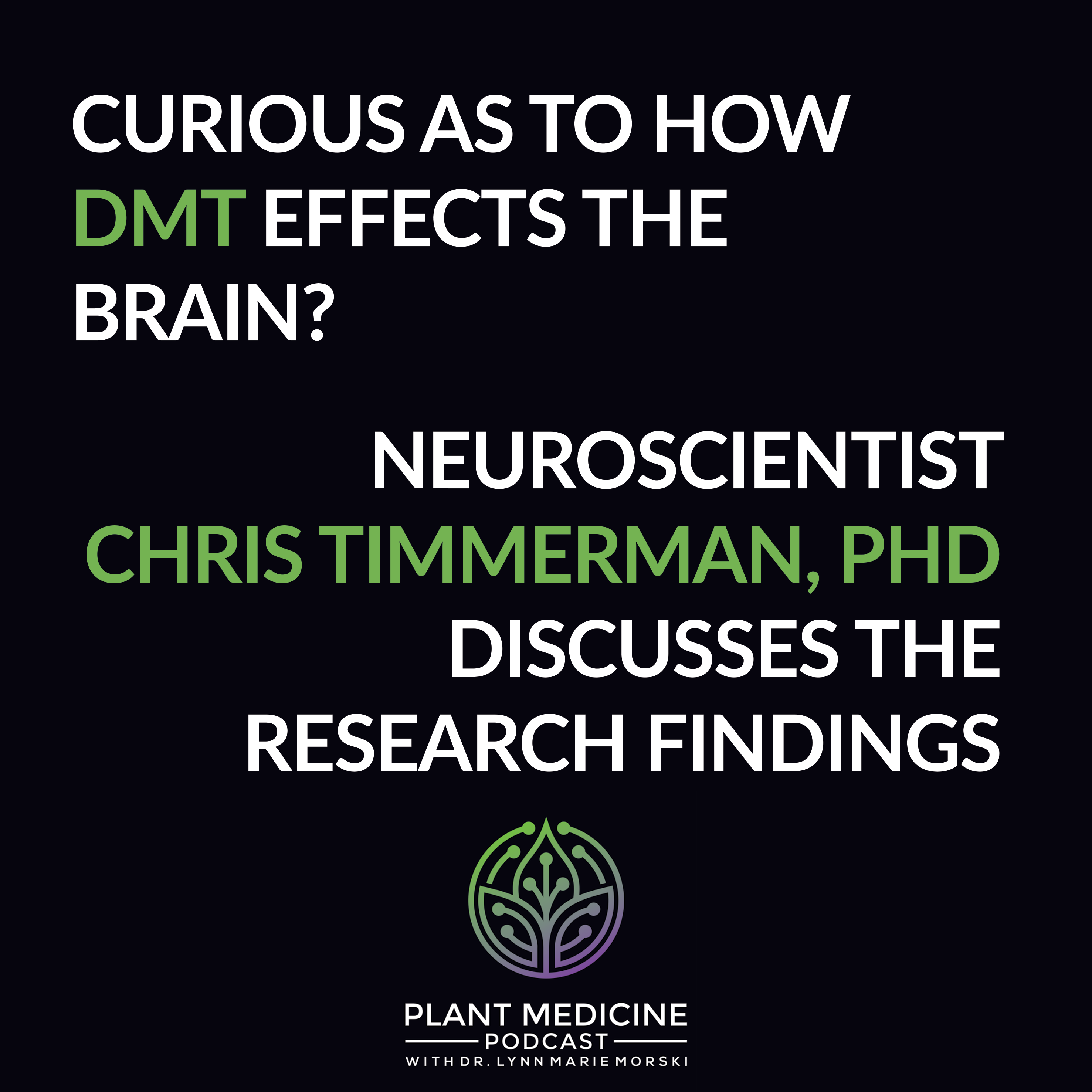 Encore episode: DMT Scientific Research with Dr. Chris Timmerman
