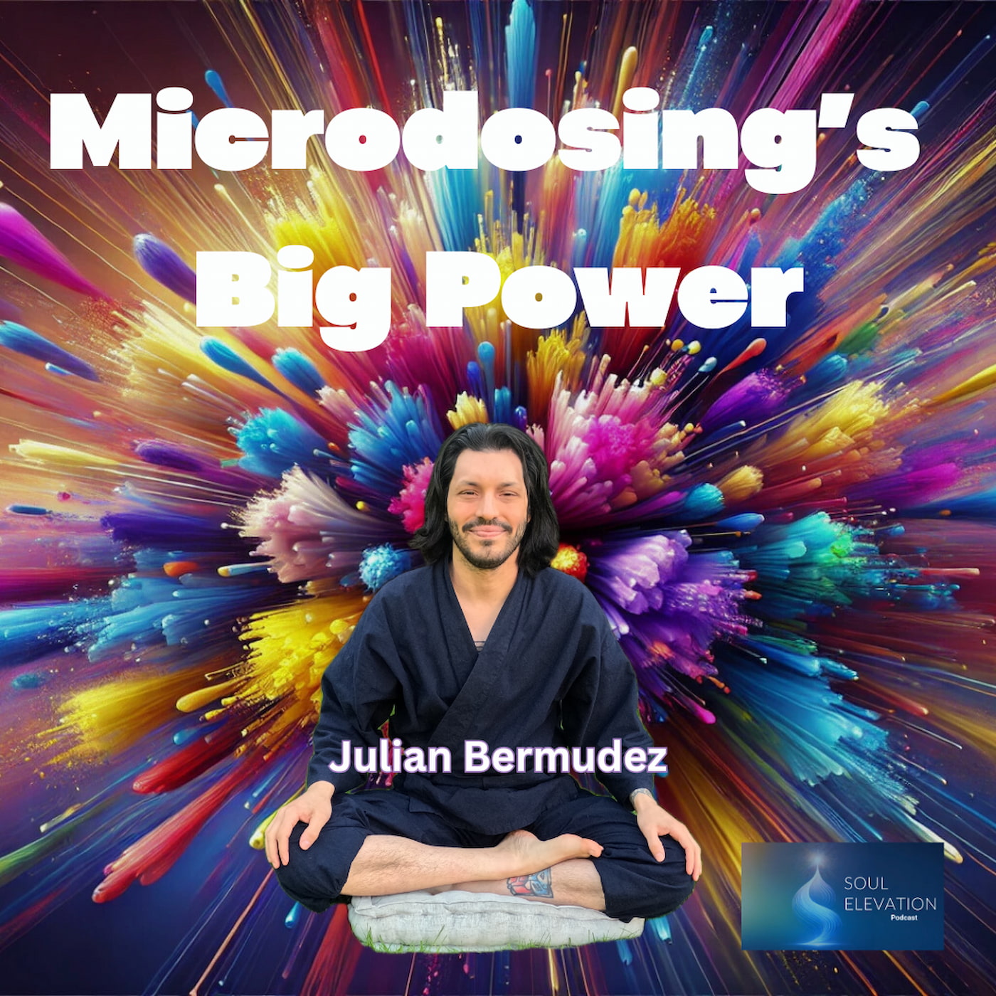 518. 🌌 Trauma Healing & Psychedelics: Rediscovering Wholeness | Julian Bermudez
