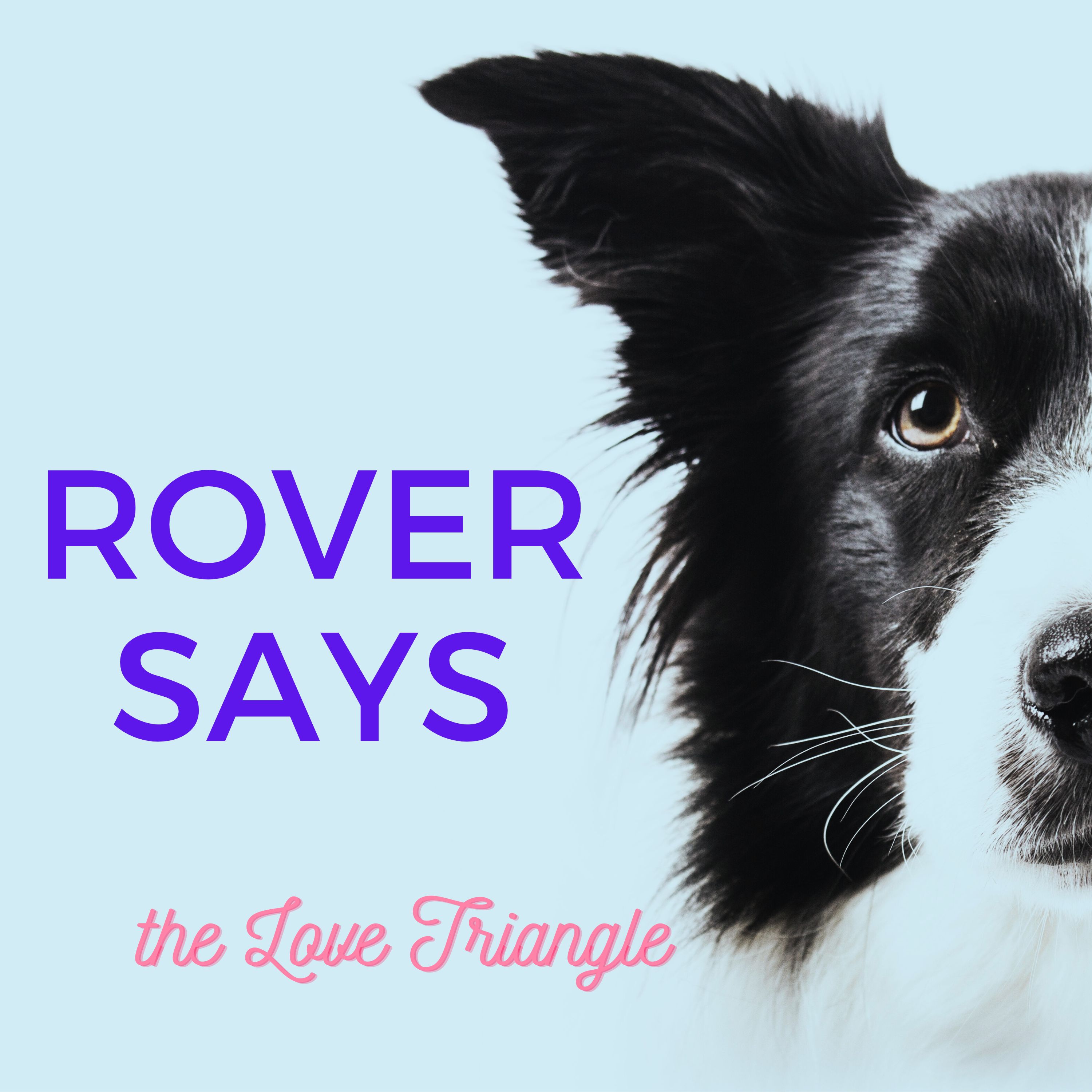 Rover Says