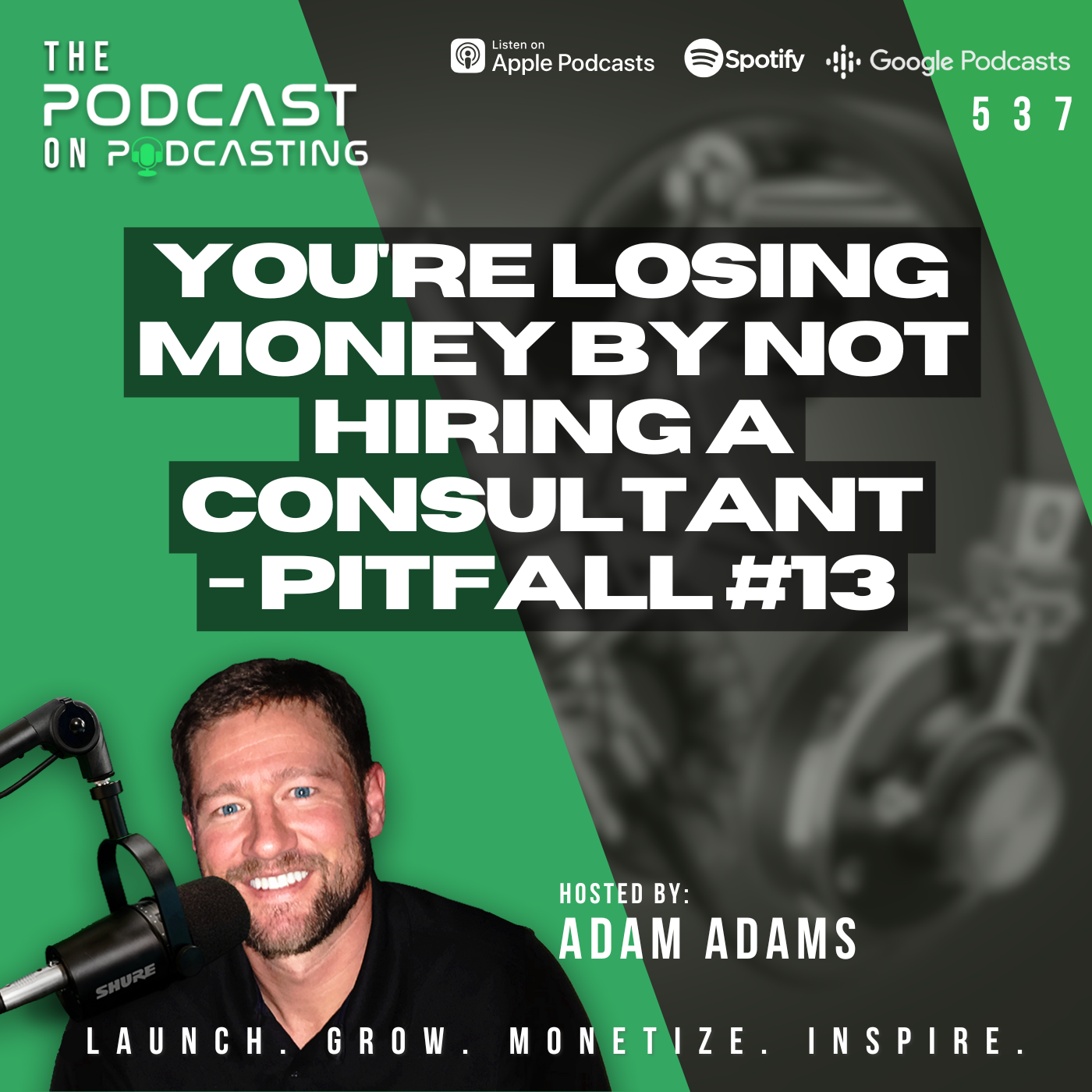 You're Losing Money by NOT Hiring A Consultant - Pitfall #13 [537]
