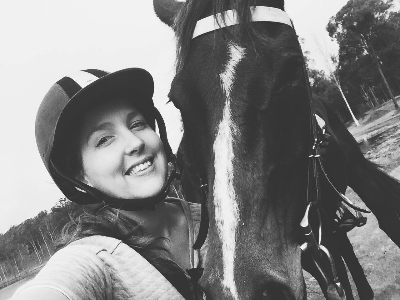 0785: Sophie Barrington 3 LC - 