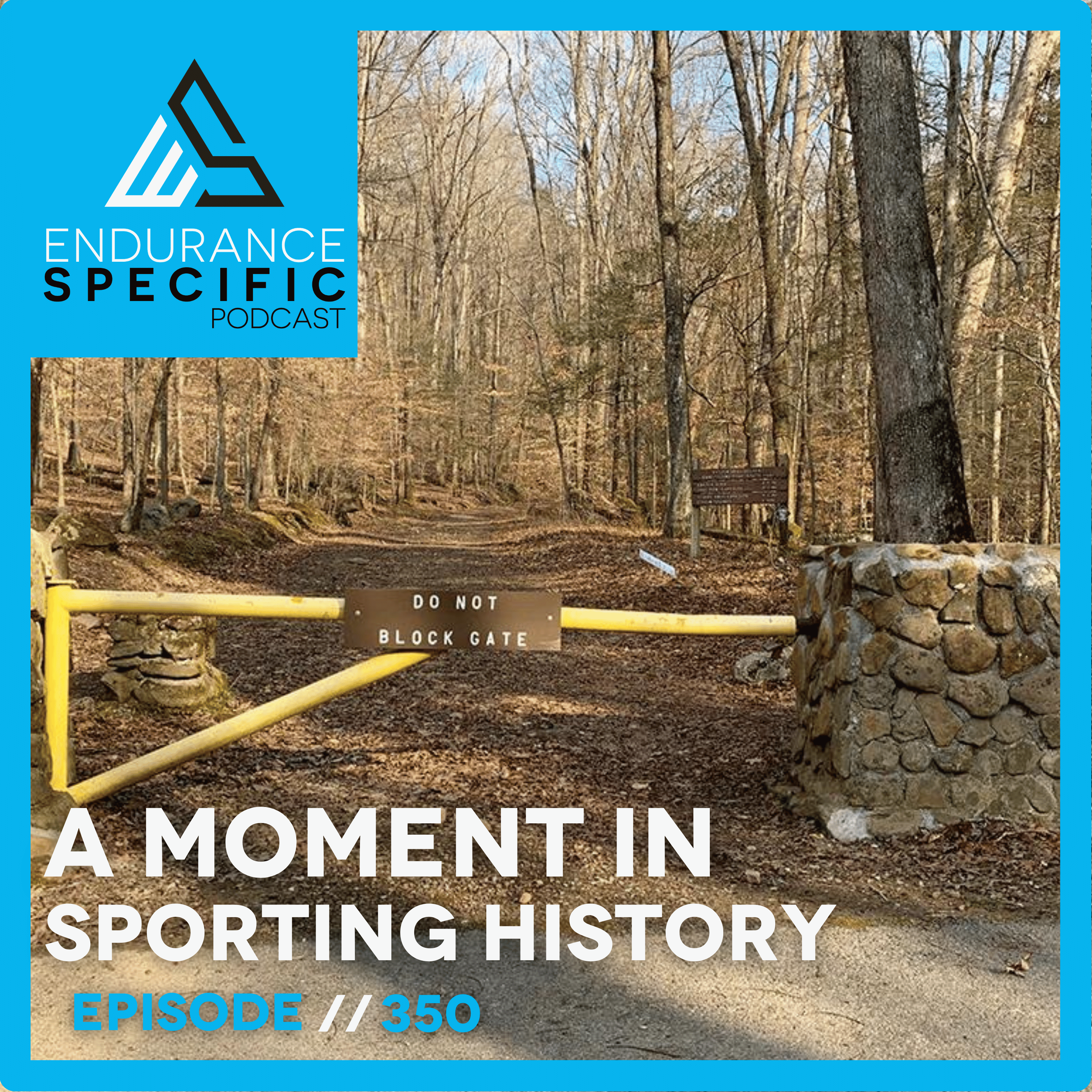 The Endurance Specific Podcast
