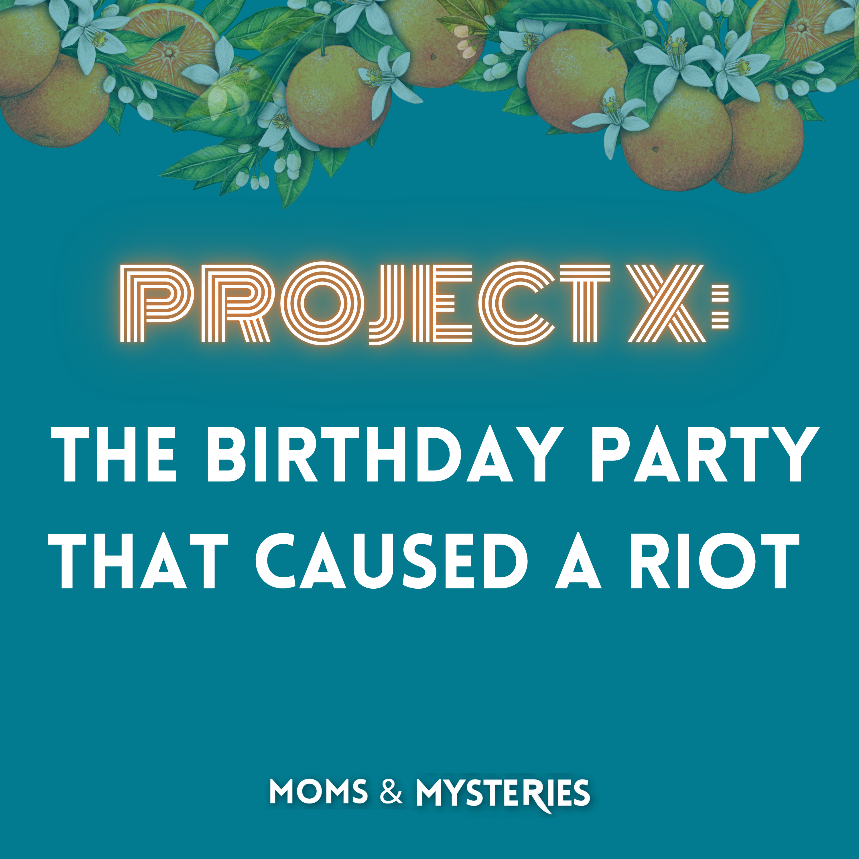 Project X: The Birthday Party That Caused a Riot Project X: The Birthday Party That Caused a Riot